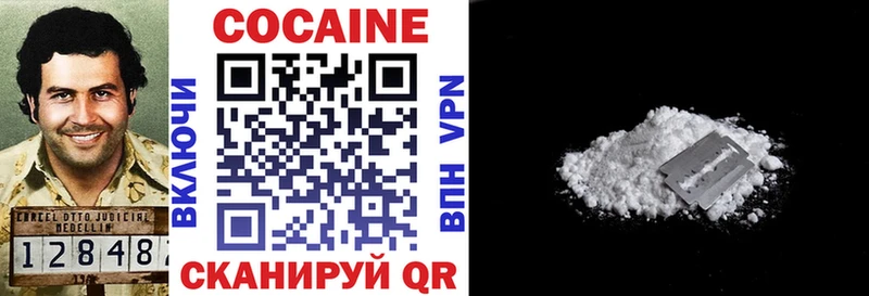 дарнет шоп  Рыбинск  Cocaine FishScale 