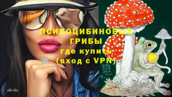 ешки Алзамай