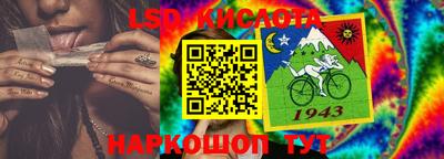 спиды Кингисепп