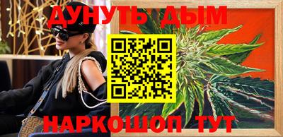 спиды Кингисепп