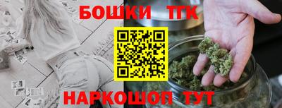 спиды Кингисепп