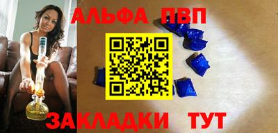 спиды Кингисепп