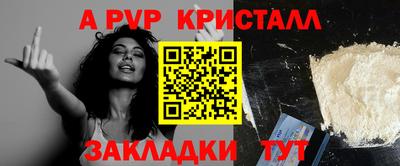 спиды Кингисепп