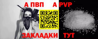 спиды Кингисепп