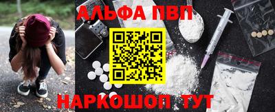спиды Кингисепп